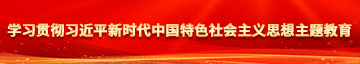 男人把jj放进女人的逼里捅学习贯彻习近平新时代中国特色社会主义思想主题教育